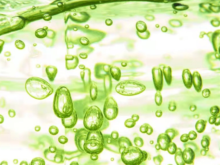 Ultrasonic extraction